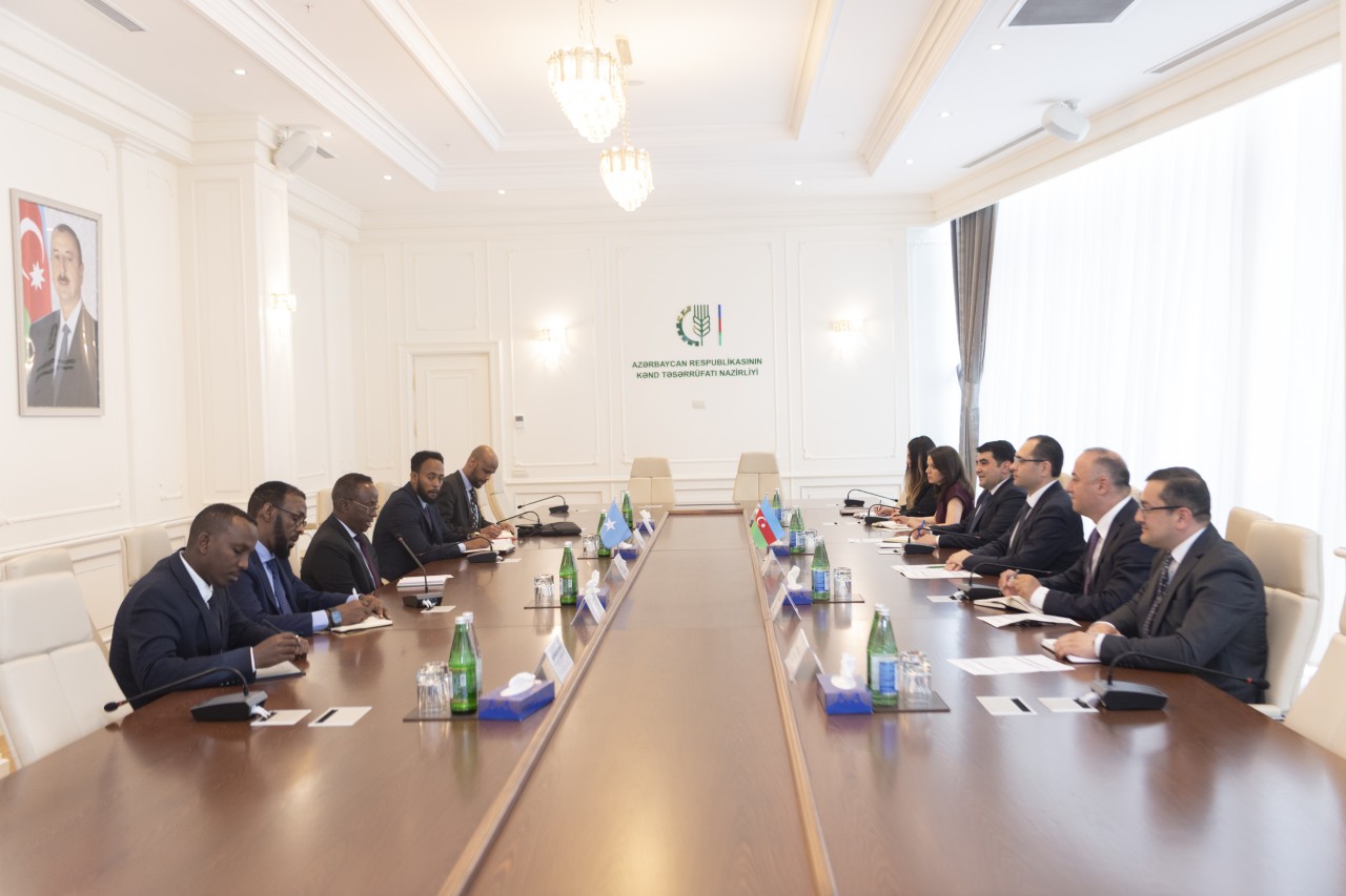 Azərbaycan və Somali arasında memorandum imzalanıb - FOTOLAR